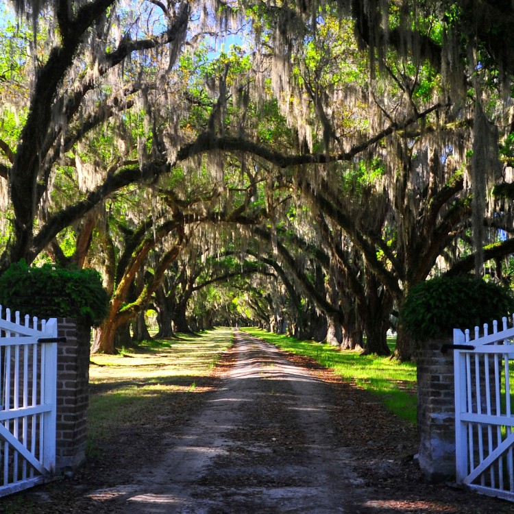 Fence Installation in Louisville, KY